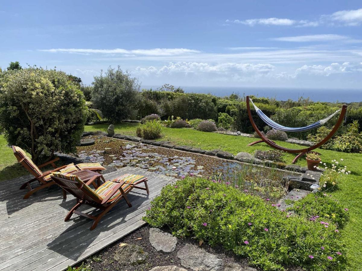 Holiday home Quinta Perpetua, Casa Corvo Alto do Sul